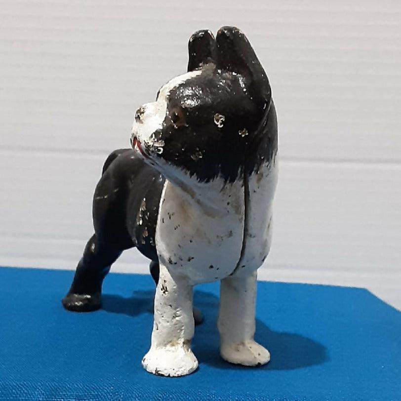 Cast Iron Boston Terrier Bank - trèsBin